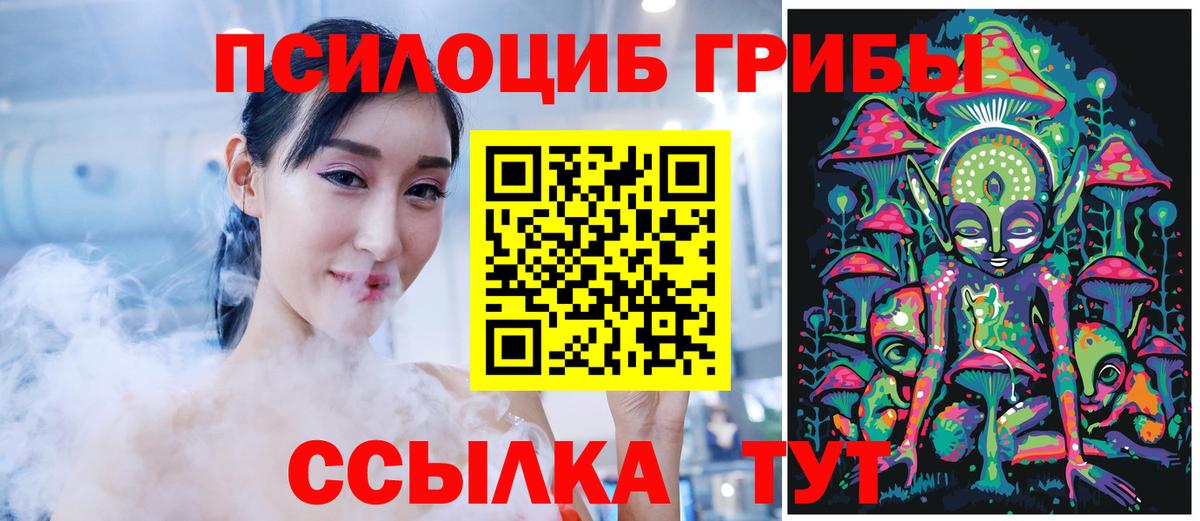 Псилоцибиновые грибы GOLDEN TEACHER Ярцево