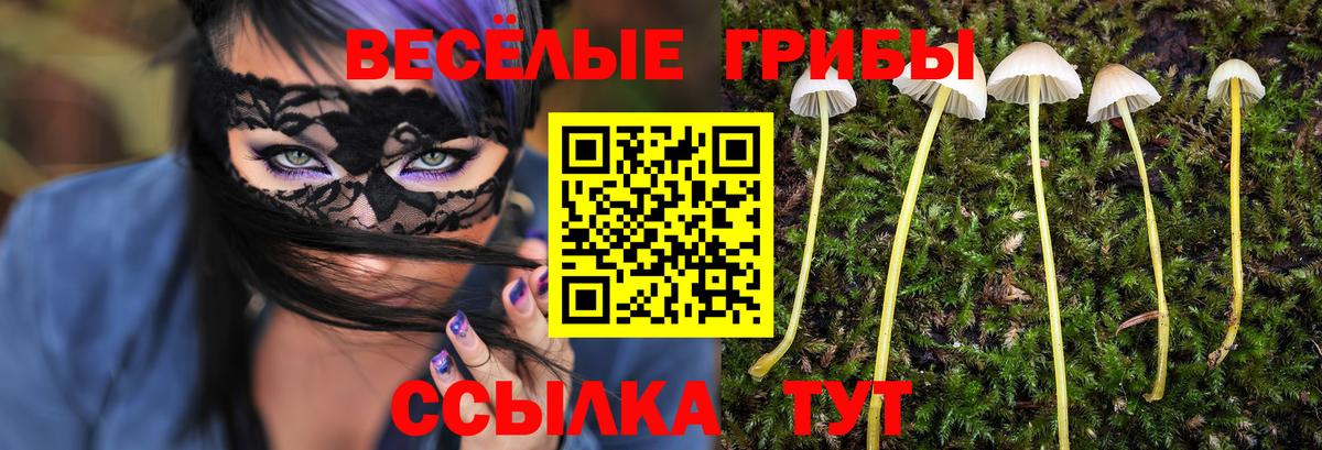 Галлюциногенные грибы мицелий  Вход с VPN  Галлюциногенные грибы мухоморы  Ярцево 